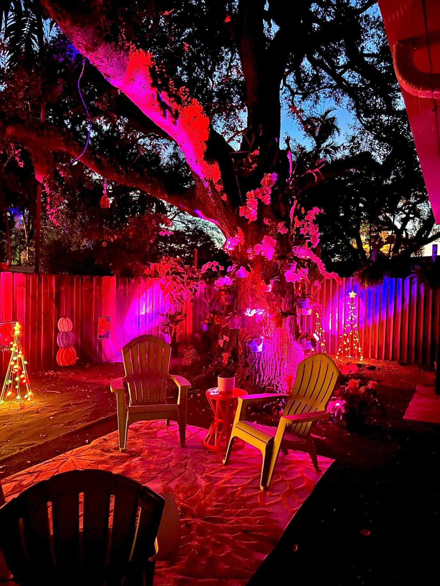 Private Guest House Miami Exterior photo